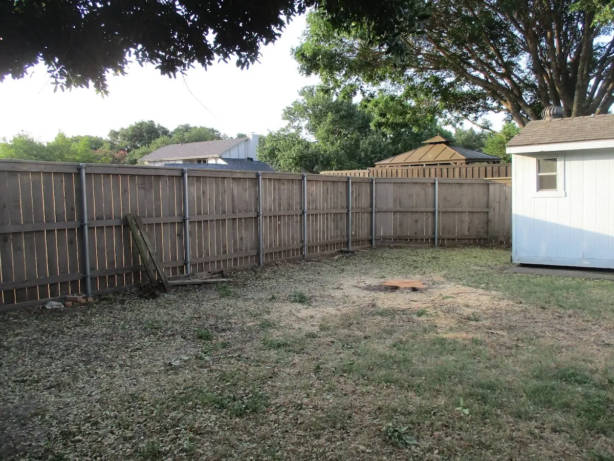 Cleared yard after professional tree removal in Washougal